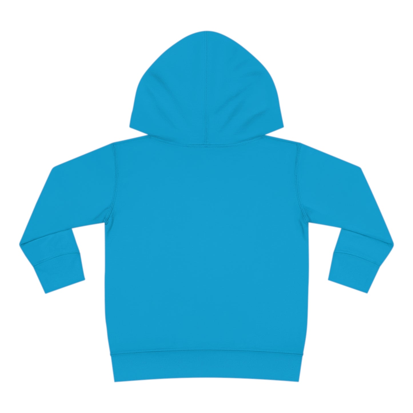 Child of Zion Toddler Pullover Fleece Hoodie