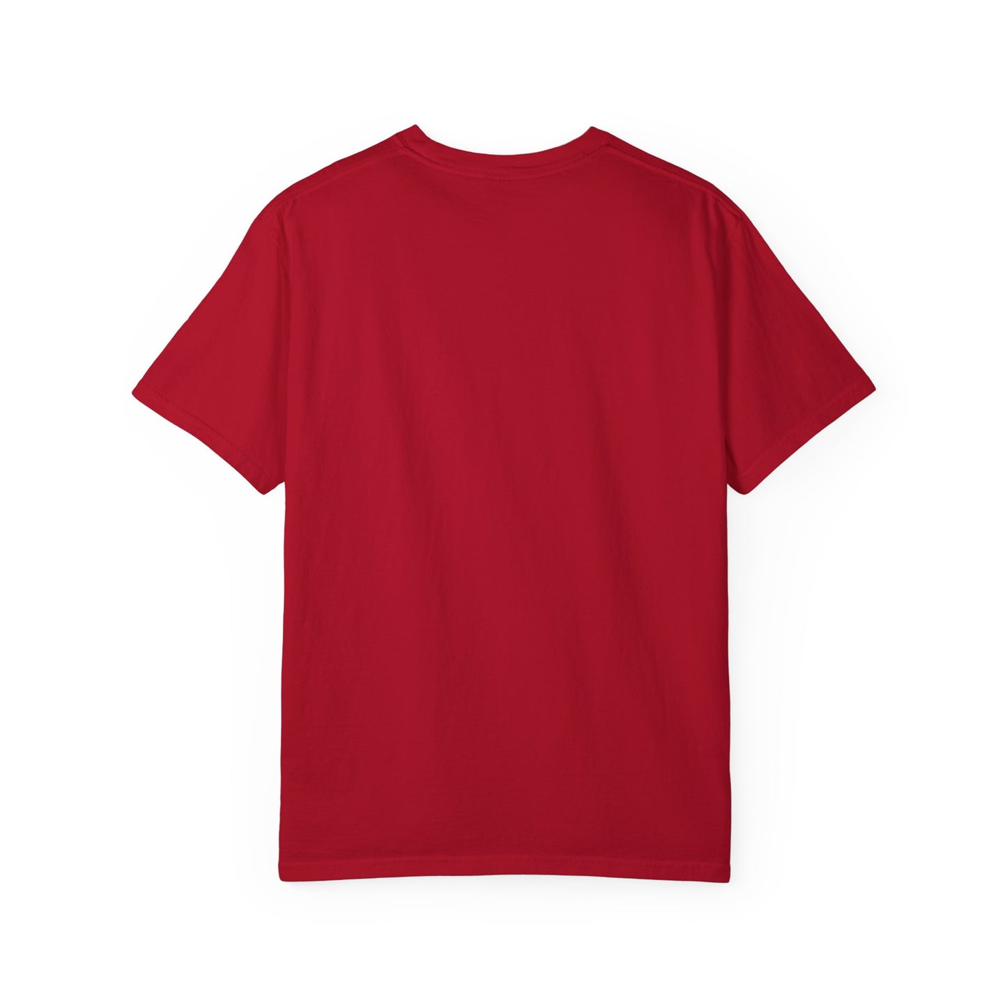 Eagle Unisex T-shirt