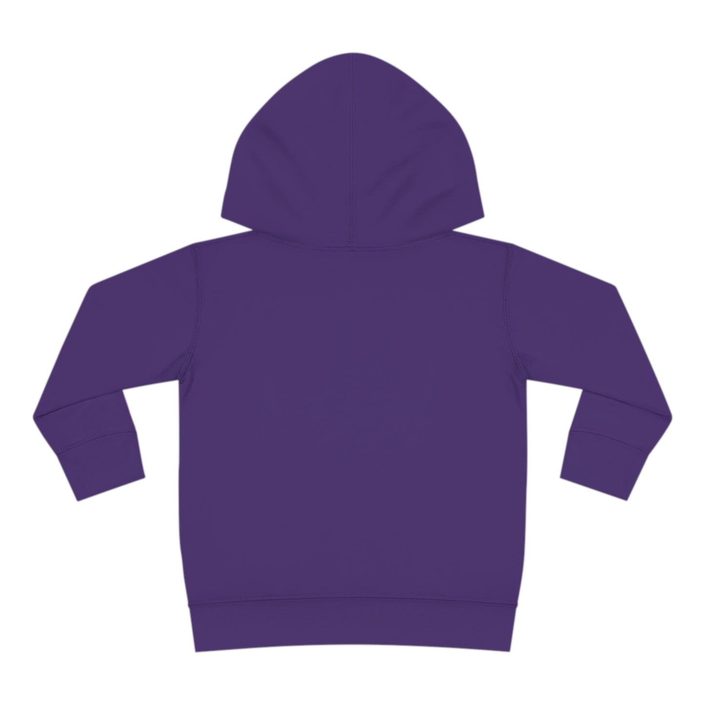 Child of Zion Toddler Pullover Fleece Hoodie